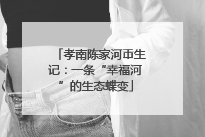孝南陈家河重生记：一条“幸福河”的生态蝶变