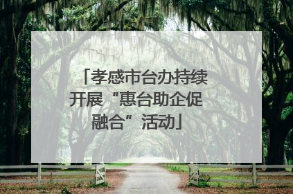 孝感市台办持续开展“惠台助企促融合”活动
