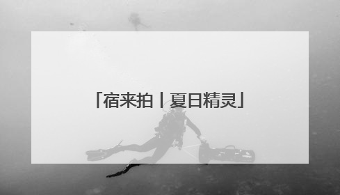 宿来拍丨夏日精灵