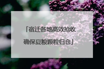 宿迁各地高效抢收 确保夏粮颗粒归仓