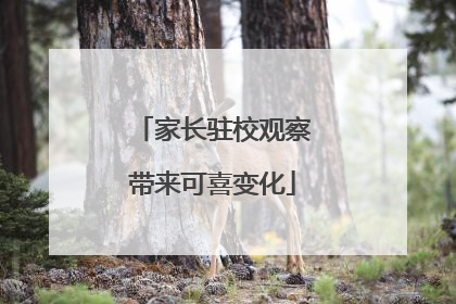 家长驻校观察带来可喜变化