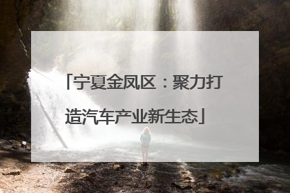 宁夏金凤区：聚力打造汽车产业新生态