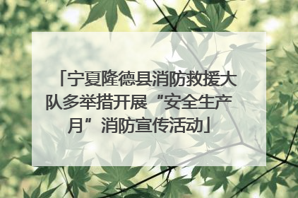 宁夏隆德县消防救援大队多举措开展“安全生产月”消防宣传活动