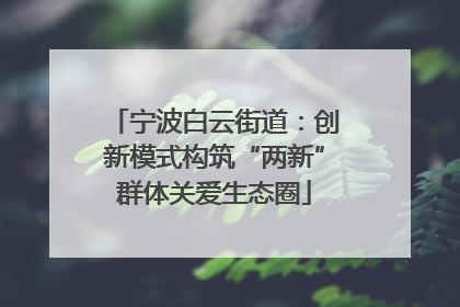 宁波白云街道：创新模式构筑“两新”群体关爱生态圈