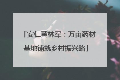 安仁黄林军：万亩药材基地铺就乡村振兴路