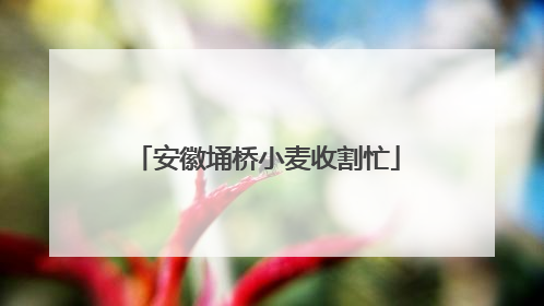 安徽埇桥小麦收割忙