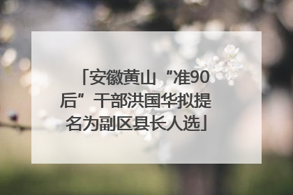 安徽黄山“准90后”干部洪国华拟提名为副区县长人选