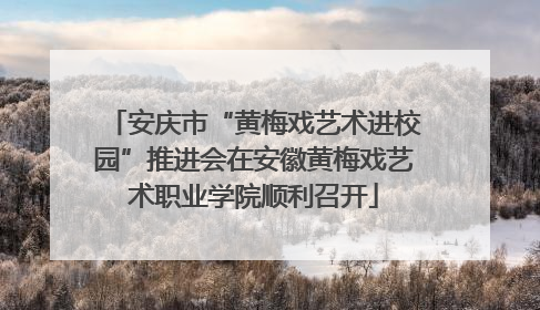 安庆市“黄梅戏艺术进校园”推进会在安徽黄梅戏艺术职业学院顺利召开