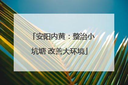 安阳内黄：整治小坑塘 改善大环境