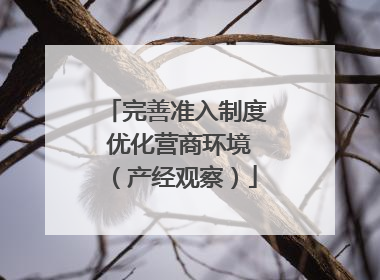 完善准入制度 优化营商环境（产经观察）