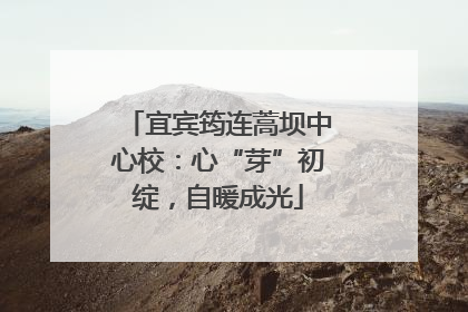 宜宾筠连蒿坝中心校：心“芽”初绽，自暖成光