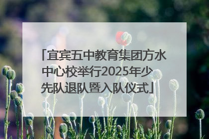 宜宾五中教育集团方水中心校举行2025年少先队退队暨入队仪式