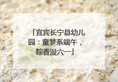 宜宾长宁县幼儿园：童梦系端午，粽香漫六一