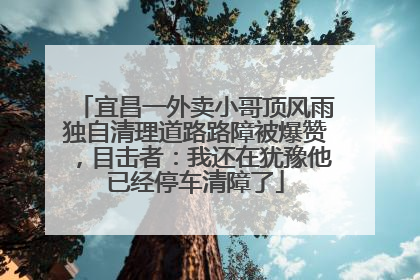 宜昌一外卖小哥顶风雨独自清理道路路障被爆赞，目击者：我还在犹豫他已经停车清障了
