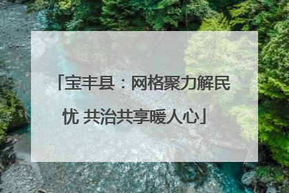 宝丰县：网格聚力解民忧 共治共享暖人心