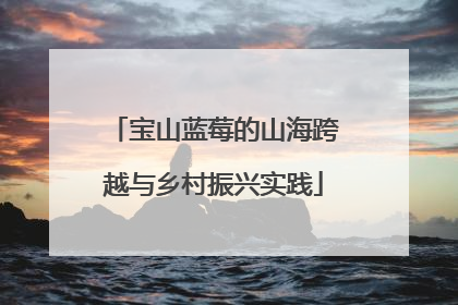 宝山蓝莓的山海跨越与乡村振兴实践