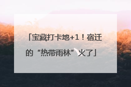 宝藏打卡地+1！宿迁的“热带雨林”火了