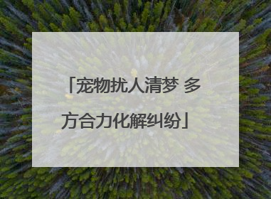 宠物扰人清梦 多方合力化解纠纷