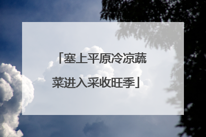 塞上平原冷凉蔬菜进入采收旺季