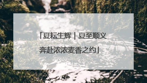夏耘生辉｜夏至顺义奔赴浓浓麦香之约