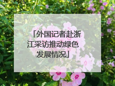 外国记者赴浙江采访推动绿色发展情况