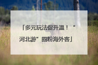 多元玩法促升温！“河北游”圈粉海外客