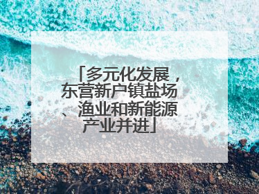 多元化发展，东营新户镇盐场、渔业和新能源产业并进