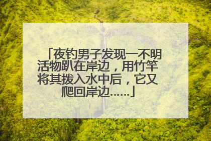 夜钓男子发现一不明活物趴在岸边，用竹竿将其拨入水中后，它又爬回岸边……
