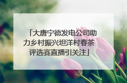 大唐宁德发电公司助力乡村振兴坦洋村春茶评选赛直播引关注
