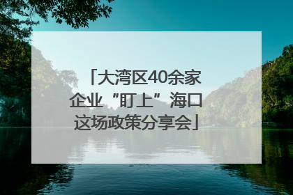 大湾区40余家企业“盯上”海口这场政策分享会