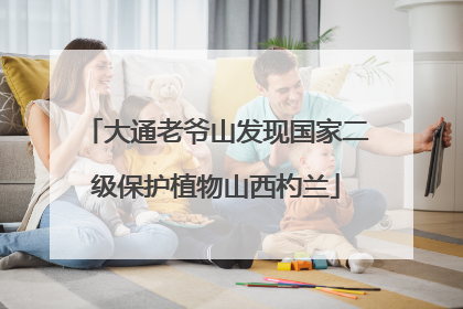 大通老爷山发现国家二级保护植物山西杓兰
