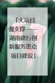 大项目 强支撑——湖南建行创新服务重点项目建设