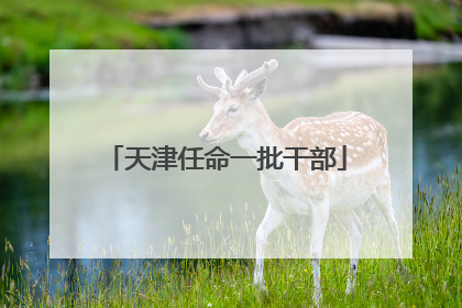 天津任命一批干部