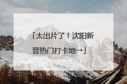太出片了！沈阳新晋热门打卡地→