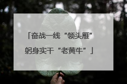 奋战一线“领头雁” 躬身实干“老黄牛”