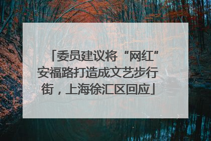 委员建议将“网红”安福路打造成文艺步行街，上海徐汇区回应