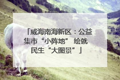 威海南海新区：公益集市“小阵地” 绘就民生“大图景”