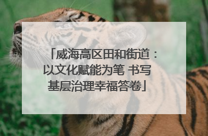 威海高区田和街道：以文化赋能为笔 书写基层治理幸福答卷