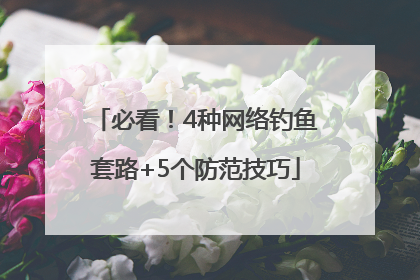 必看！4种网络钓鱼套路+5个防范技巧