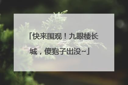 快来围观！九眼楼长城，傻狍子出没~