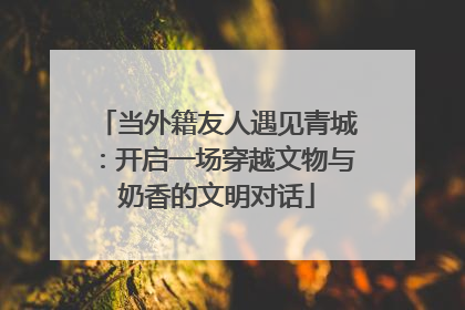 当外籍友人遇见青城：开启一场穿越文物与奶香的文明对话