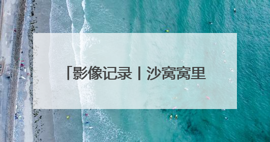 影像记录丨沙窝窝里长出“蓝色牧场”