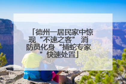 德州一居民家中惊现“不速之客” 消防员化身“捕蛇专家”快速处置
