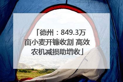 德州：849.3万亩小麦开镰收割 高效农机减损助增收