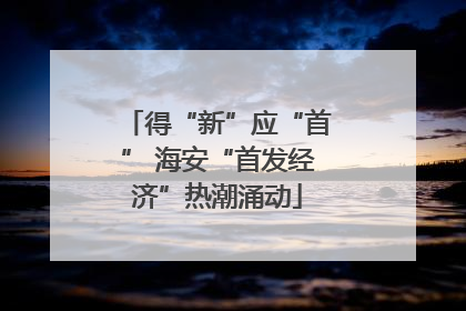 得“新”应“首” 海安“首发经济”热潮涌动