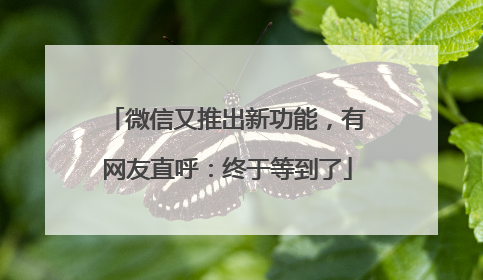 微信又推出新功能，有网友直呼：终于等到了