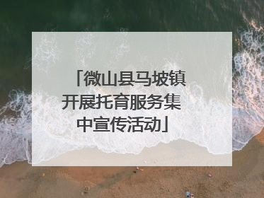 微山县马坡镇开展托育服务集中宣传活动