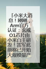小米大消息！刚刚，Arm官方认证：玄戒O1芯片由小米自主研发！雷军此前称已开始大规模量产