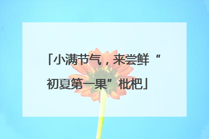 小满节气，来尝鲜“初夏第一果”枇杷