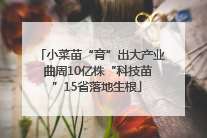 小菜苗“育”出大产业 曲周10亿株“科技苗”15省落地生根